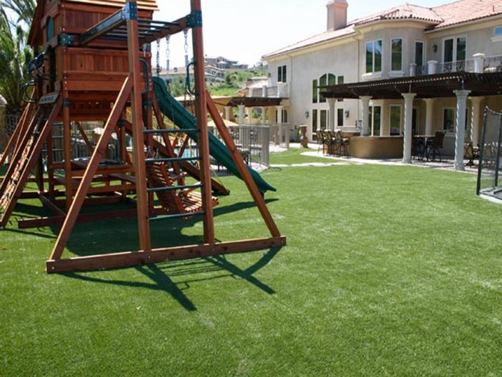 Synthetic Grass Casa de Oro-Mount Helix, California Design Ideas, Backyard Landscaping