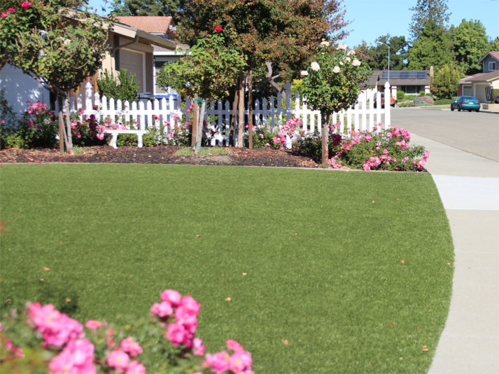 Synthetic Grass Cost Bostonia, California Landscape Rock, Front Yard