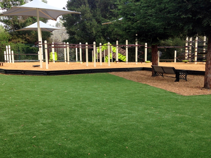 Synthetic Grass Cost Lake San Marcos, California Playground Turf, Backyard Design