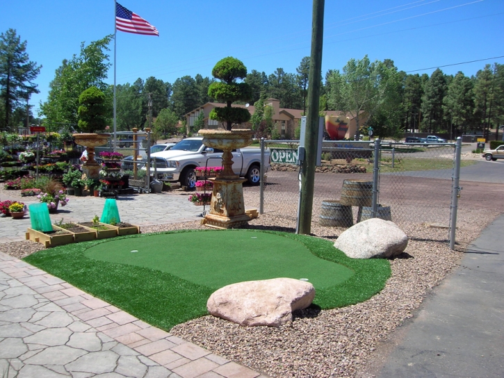 Synthetic Grass Cost Winter Gardens, California How To Build A Putting Green, Commercial Landscape