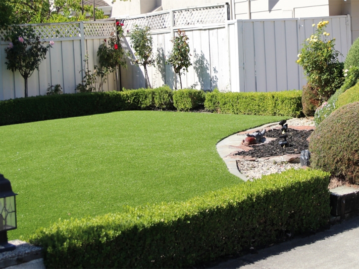 Synthetic Grass El Cajon, California Design Ideas, Backyard Landscape Ideas