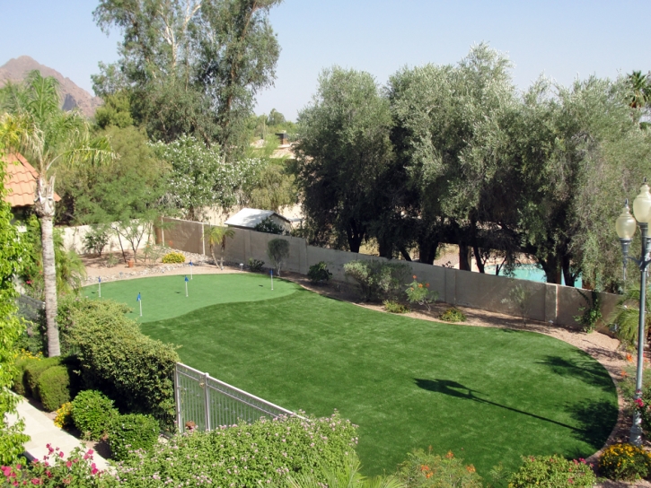 Synthetic Grass Fallbrook, California Backyard Putting Green, Backyard Design