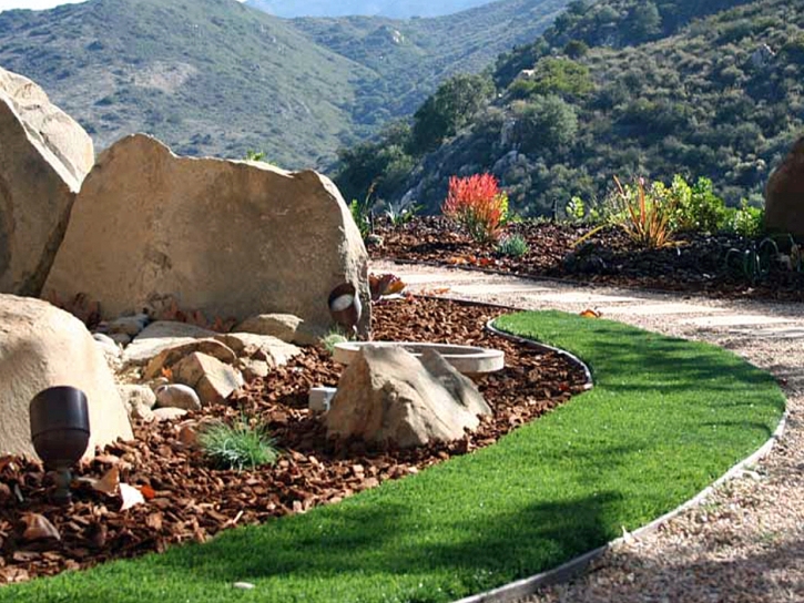 Synthetic Lawn Casa de Oro-Mount Helix, California Rooftop, Small Front Yard Landscaping