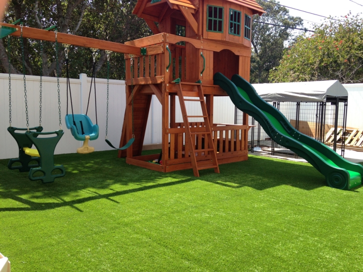 Synthetic Lawn El Cajon, California Garden Ideas, Backyard Landscape Ideas