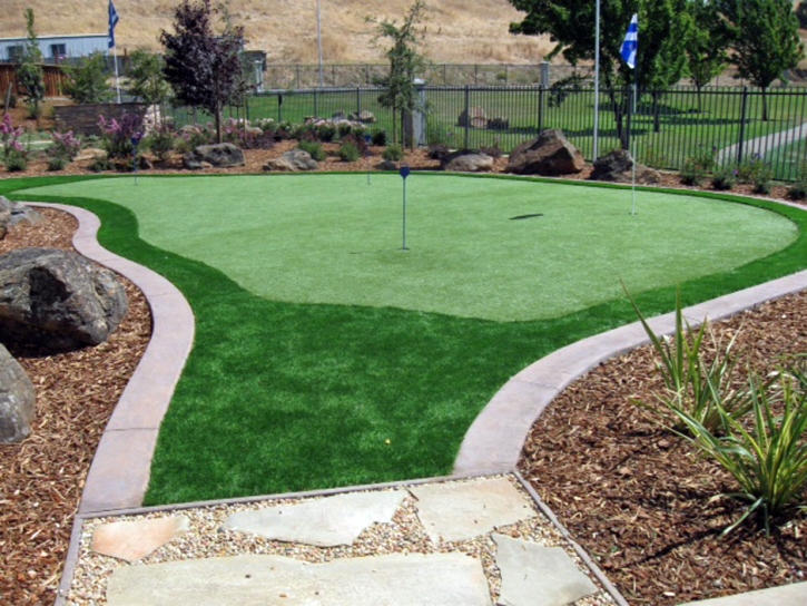 Synthetic Lawn La Jolla, California Landscaping, Backyard Design