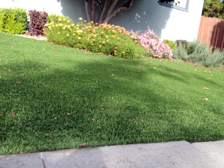 Synthetic Lawn Ramona, California Garden Ideas, Front Yard