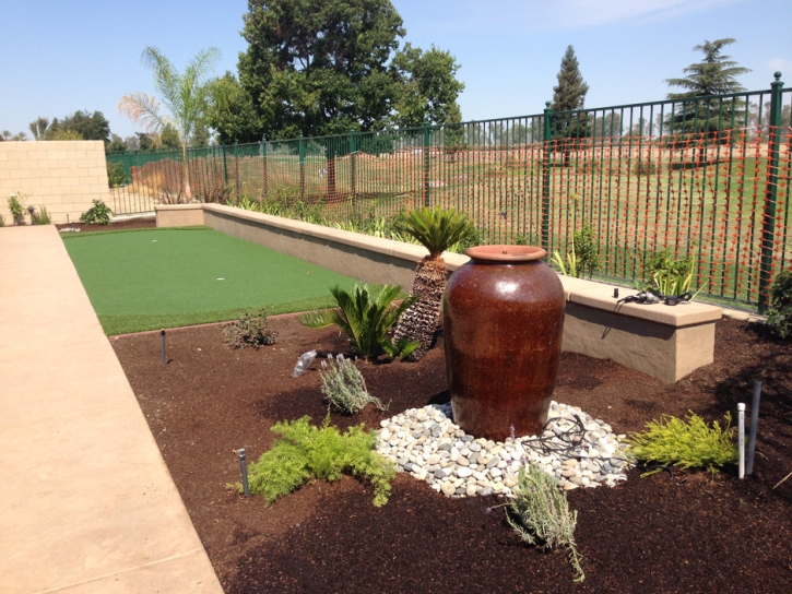 Synthetic Lawn Santee, California Rooftop, Backyard Landscaping Ideas