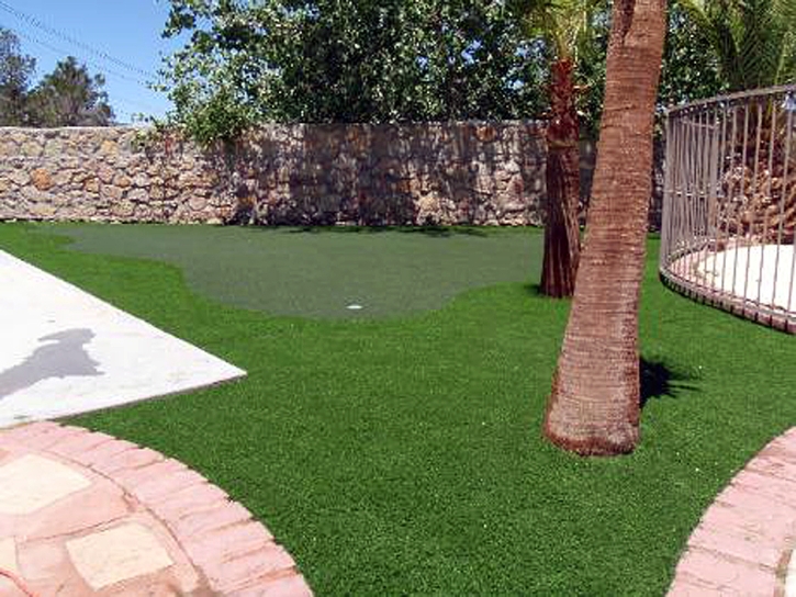 Synthetic Turf Chula Vista, California Lawn And Garden, Backyard