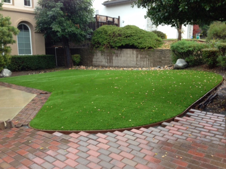 Synthetic Turf La Mesa, California Backyard Playground, Front Yard Landscaping