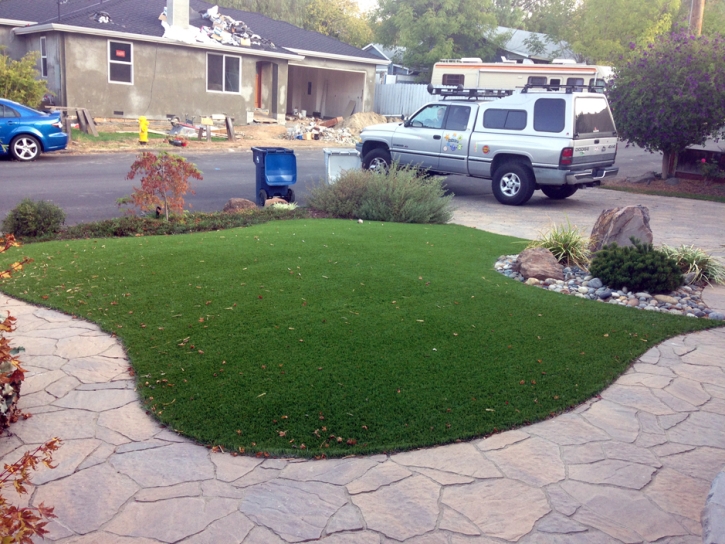 Synthetic Turf Supplier Campo, California Backyard Playground, Landscaping Ideas For Front Yard