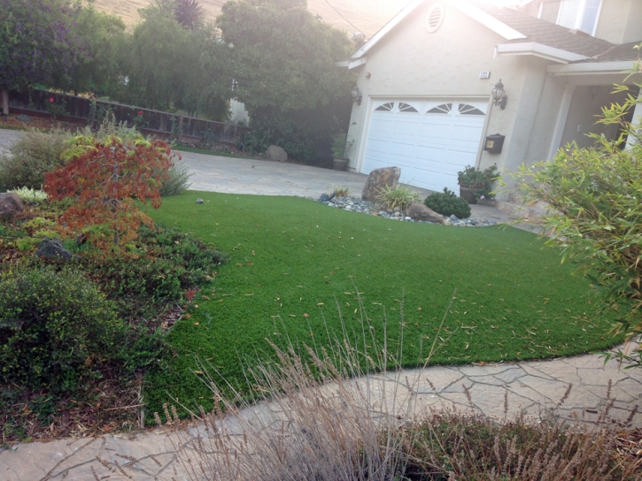 Synthetic Turf Supplier Carlsbad, California Backyard Playground, Front Yard