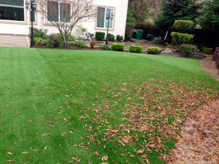 Synthetic Turf Supplier Encinitas, California Garden Ideas, Backyards