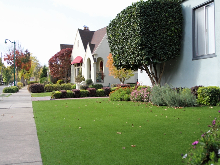 Synthetic Turf Supplier Jamul, California Roof Top, Landscaping Ideas For Front Yard