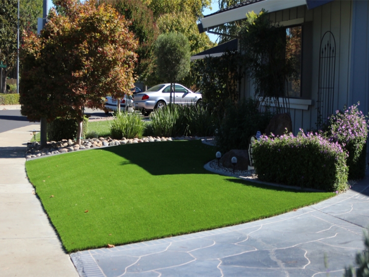 Turf Grass Bonita, California Lawns, Front Yard Landscape Ideas