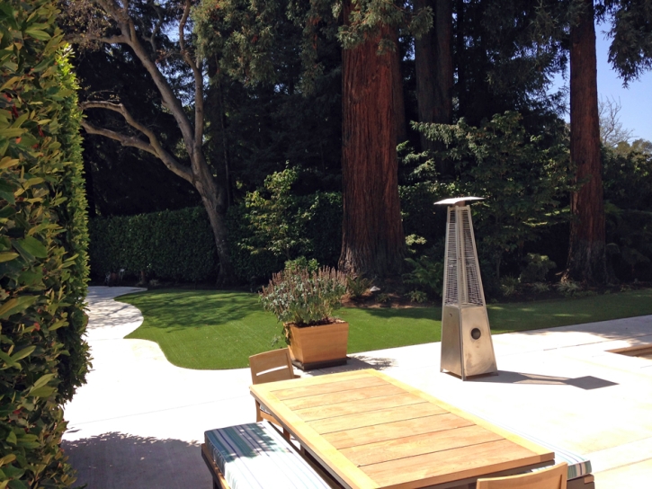 Turf Grass Chula Vista, California Landscaping, Backyard Landscaping Ideas