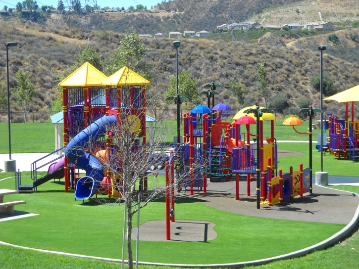 Turf Grass Fairbanks Ranch, California Playground, Parks