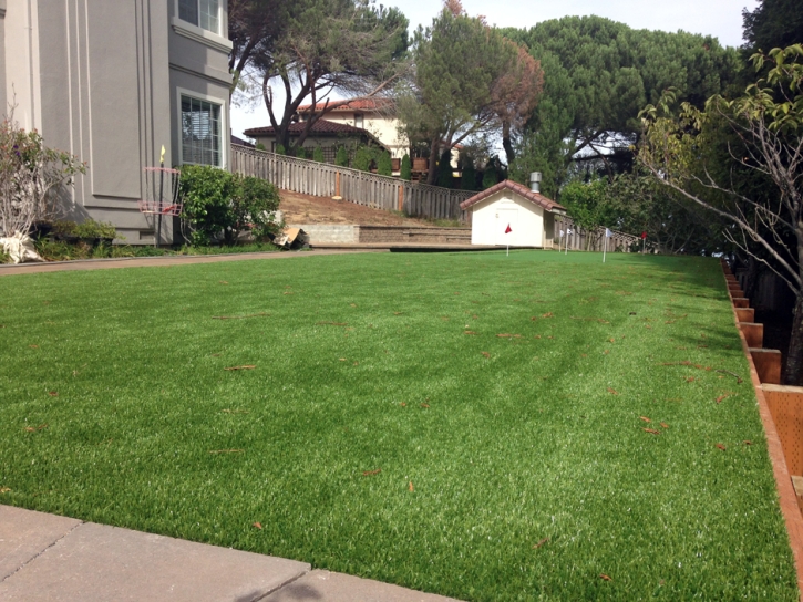 Turf Grass Imperial Beach, California Putting Green Carpet, Backyard Landscaping