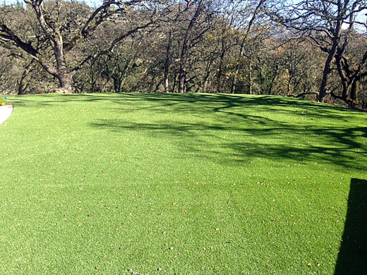 Turf Grass Mount Laguna, California Landscaping Business, Recreational Areas