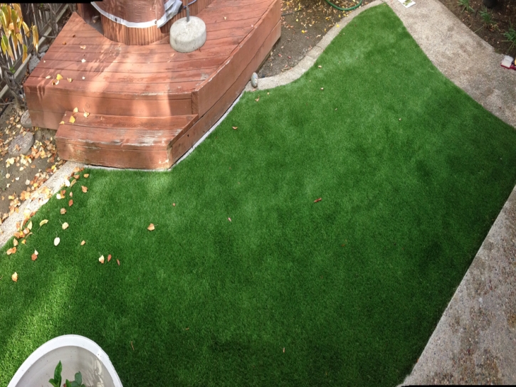 Turf Grass Spring Valley, California Rooftop, Backyard Landscaping Ideas