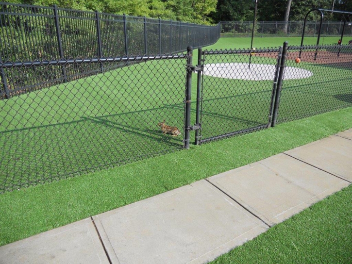 Turf Grass Valley Center, California Paver Patio, Recreational Areas