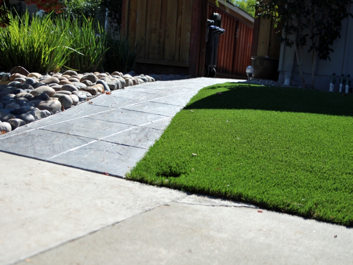 Turf Grass Winter Gardens, California Lawn And Garden, Front Yard Ideas